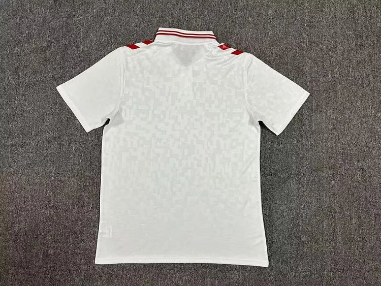 Denmark Away Kit 24/25 Euro Cup 2024 Football Jersey