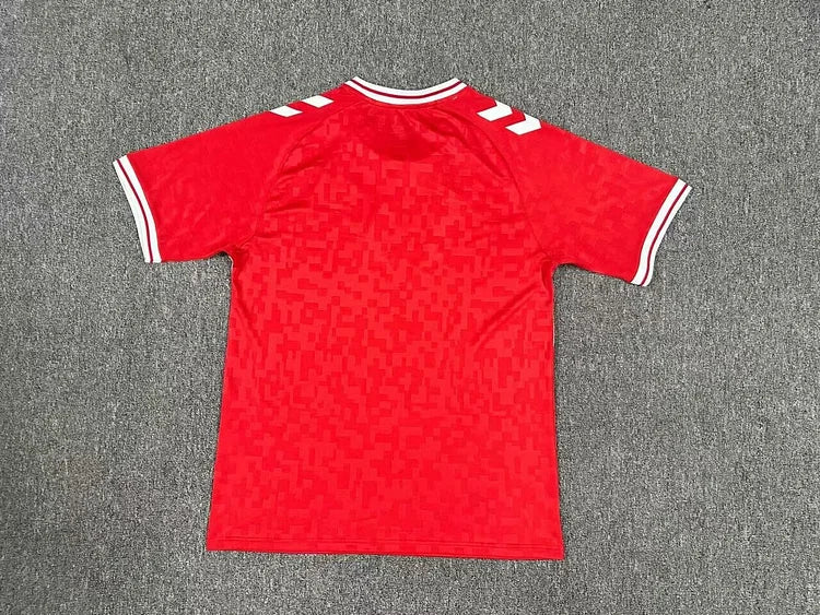 Denmark Away Kit 24/25 Euro Cup 2024 Football Jersey