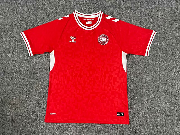 Denmark Away Kit 24/25 Euro Cup 2024 Football Jersey