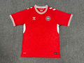 Denmark Away Kit 24/25 Euro Cup 2024 Football Jersey