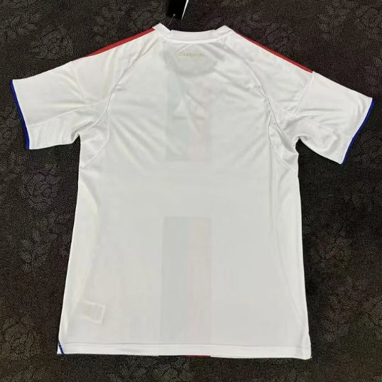 Lyon 2025/26 Home jersey