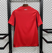 2026 Türkiye National Team Away Football Shirt
