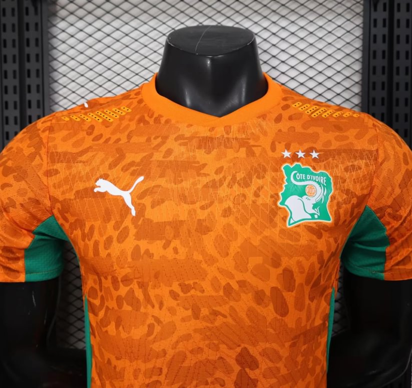 2026 Player Version Ivory Coast National Team Home Football Shirt