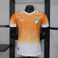2026 Player Version Ivory Coast National Team Special Edition Orange Football Shirt