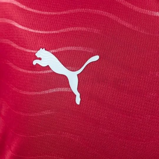 Fan Edition 2026 Portugal Home Football Shirt