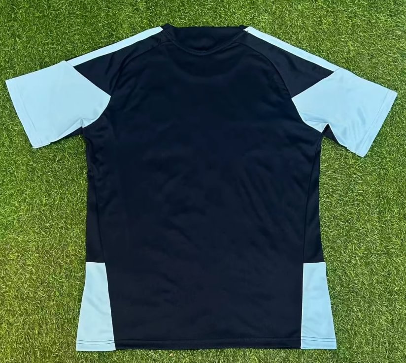 2026 Argentina Training Suit Blue  Jersey