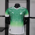 2026 Player Version Ivory Coast National Team Special Edition Green Football Shirt