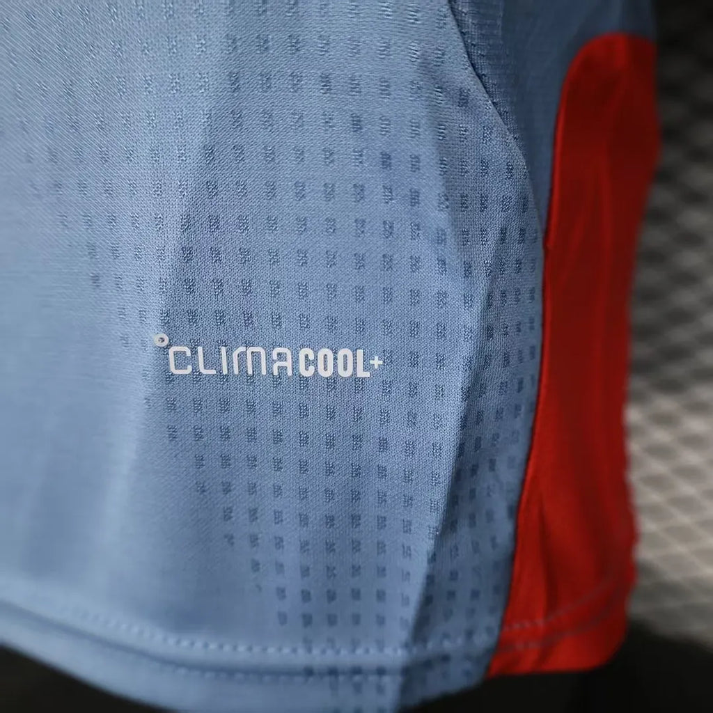 2026 Player Version Japan Special Edition Football Jersey