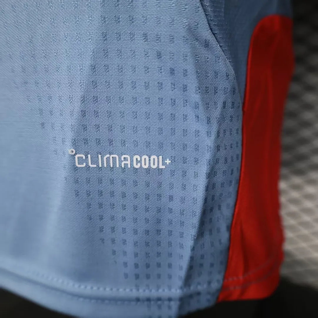 2026 Player Version Japan Special Edition Football Jersey