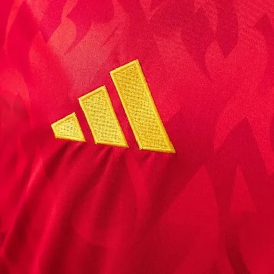 Player version 2025/26 Belgium National Team Home Football Shirt